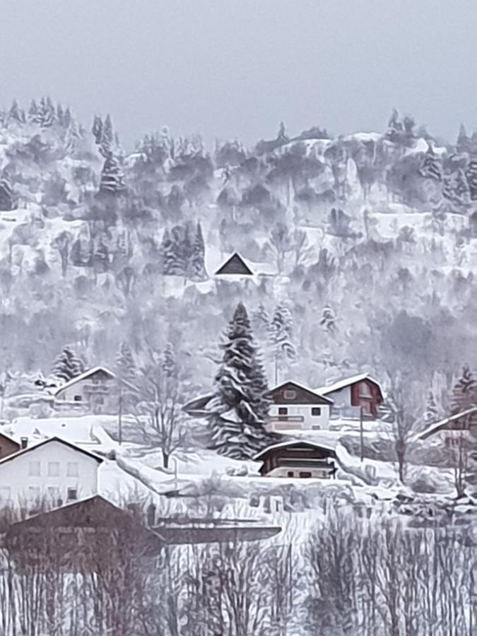 Maison Chaleureuse La Meybel La Bresse Zewnętrze zdjęcie