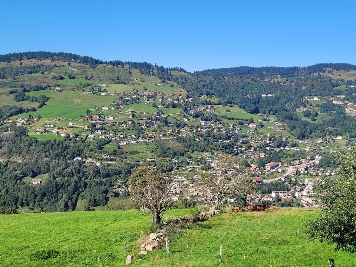 Maison Chaleureuse La Meybel La Bresse Zewnętrze zdjęcie